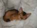 Harvey_01