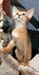 Wurf_190403_K